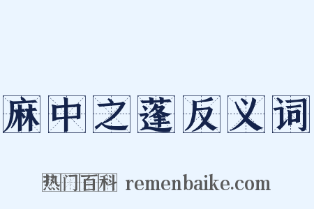 麻中之蓬反义词是什么意思的图片